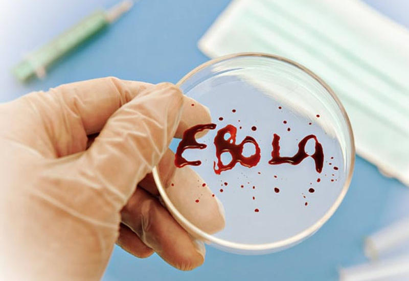 Konqoda Eboladan ölənlərin sayı 360 nəfərə çatıb