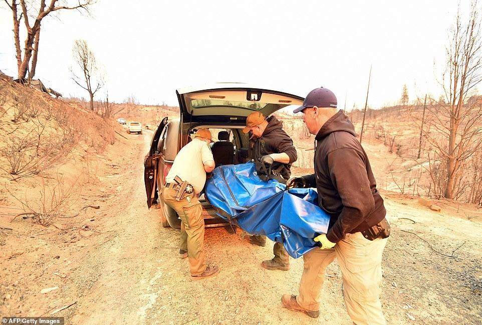 Kaliforniya yanır: şəhər məhv olub, 42 nəfər ölüb, 13500 min ev kül olub, 220 nəfər itkin düşüb