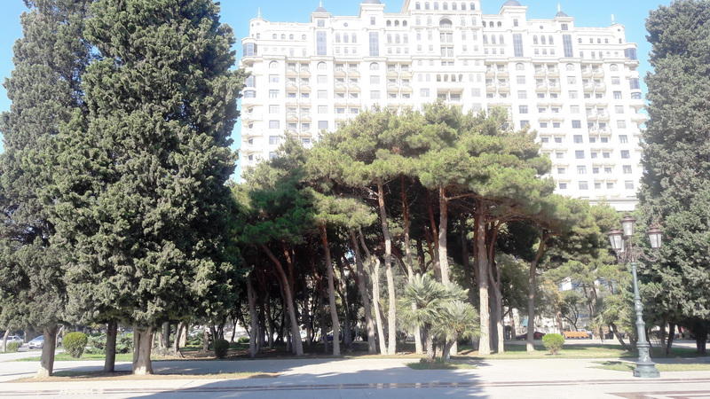 "Мой Баку": Один ноябрьский день в парке Гусейна Джавида
