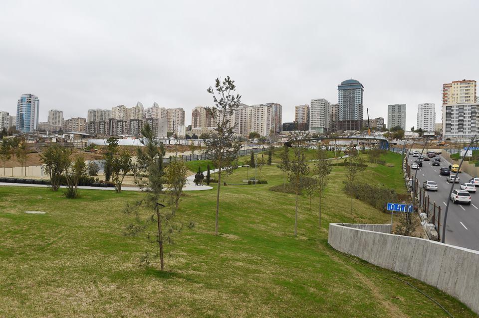 Bakının mərkəzində nəhəng park salınır