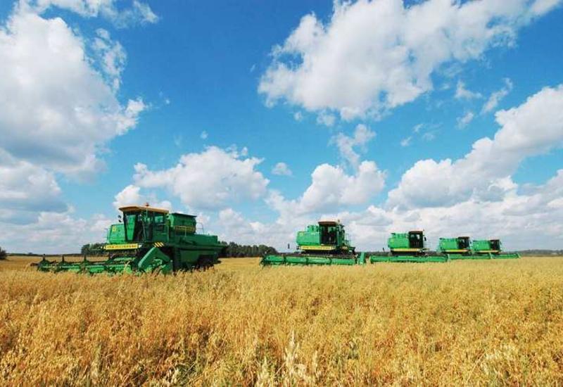 Азербайджан и Турция могут создать совместные агропредприятия