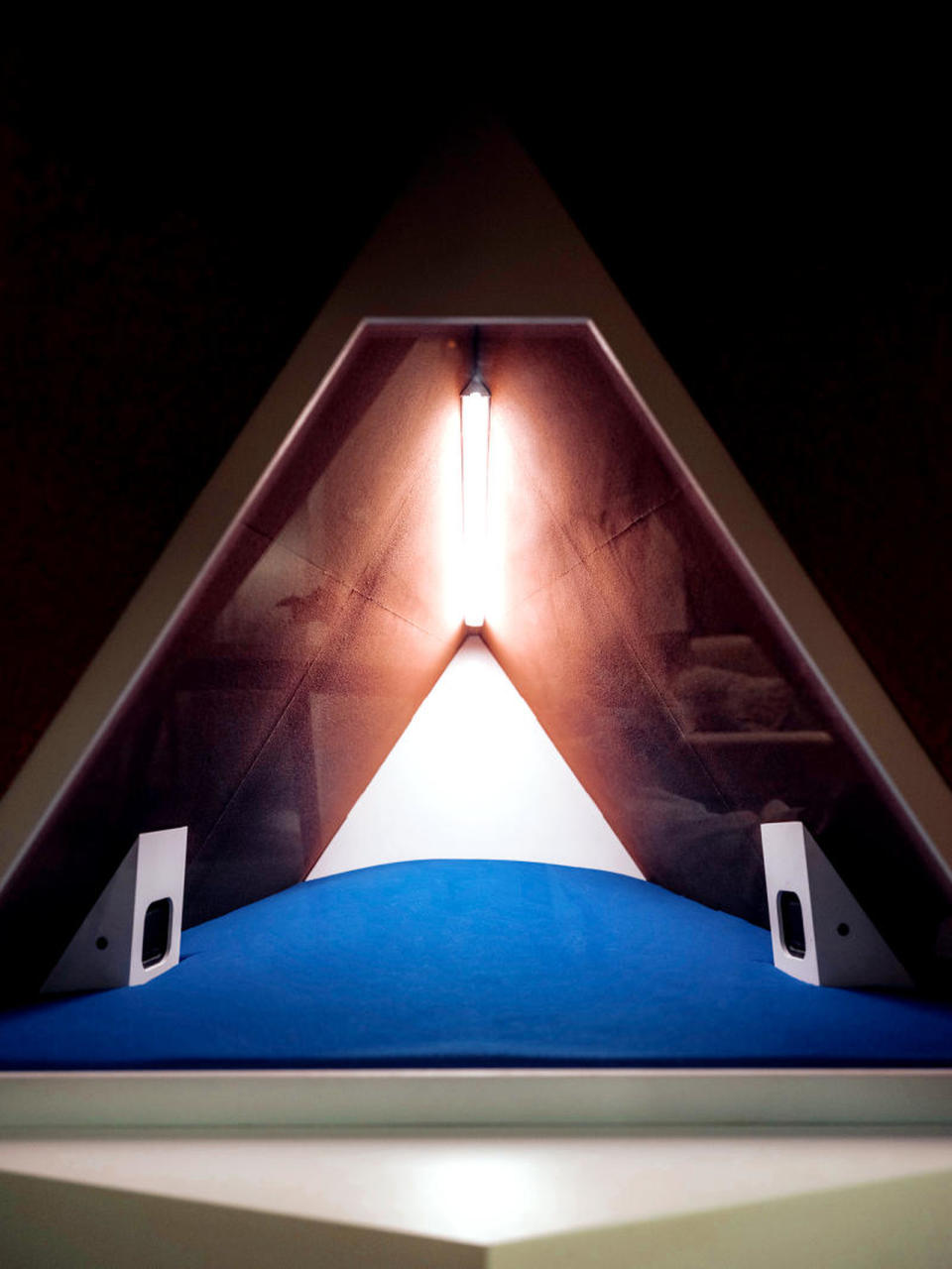 Ford построили самую тихую... собачью будку