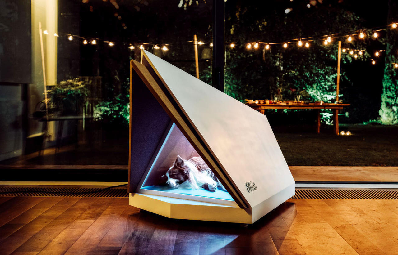 Ford построили самую тихую... собачью будку