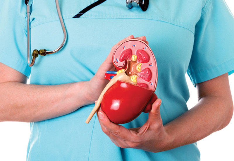 Bu vərdişlər böyrəklərə zərər verir