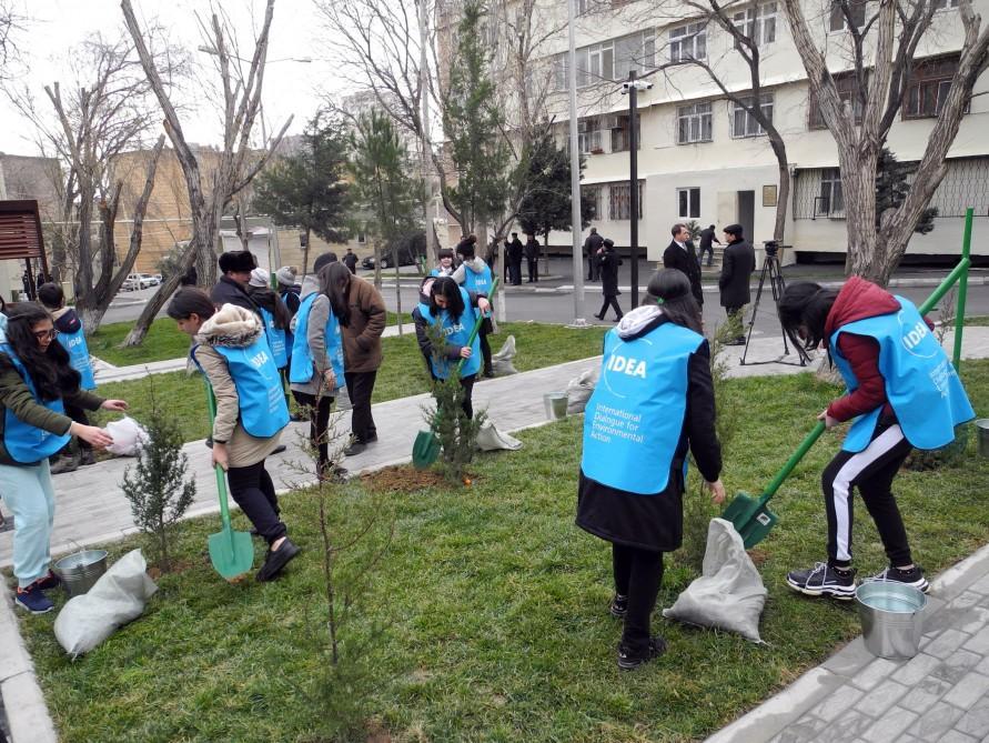 В Баку в рамках проекта "Наш двор" благоустроен очередной двор
