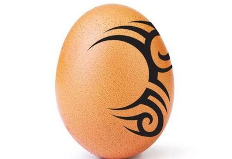 Яйцо с татуировкой разозлило Майка Тайсона