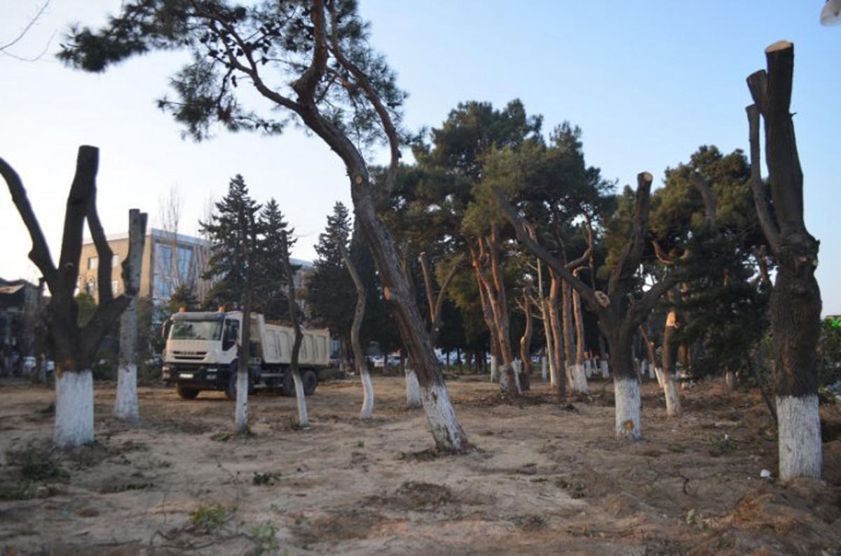"Atatürk" parkında təmir işləri davam etdirilir