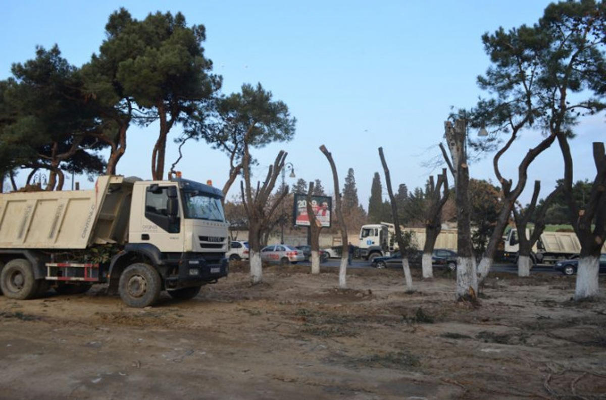"Atatürk" parkında təmir işləri davam etdirilir
