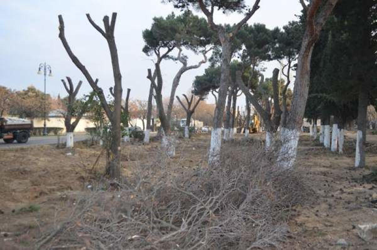 "Atatürk" parkında təmir işləri davam etdirilir