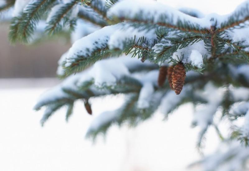 Azərbaycanda qar yağacaq, güclü külək əsəcək