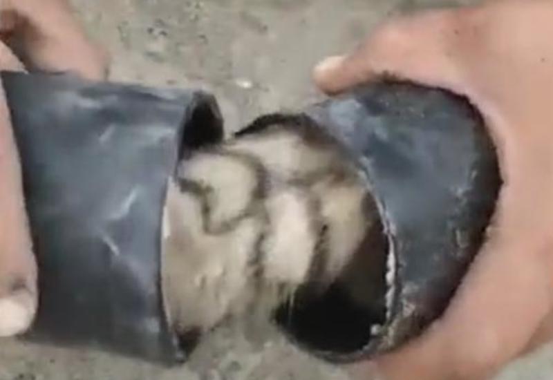 Котёнка, застрявшего в узкой трубе, удалось освободить