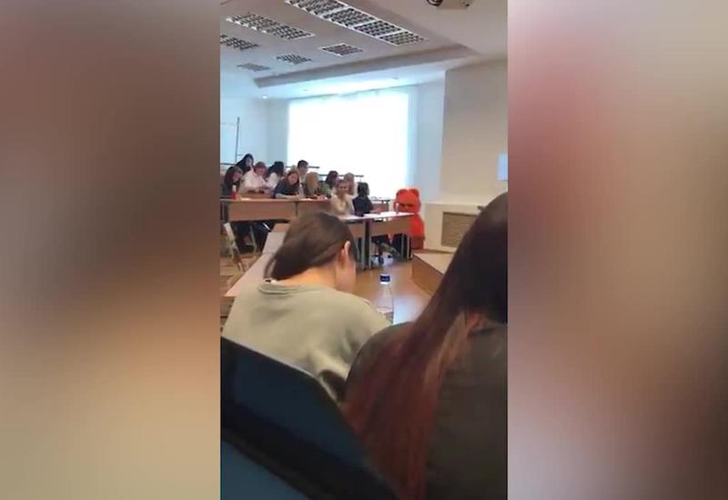 Студент сдал зачёт благодаря мягкой шёрстке и лапкам