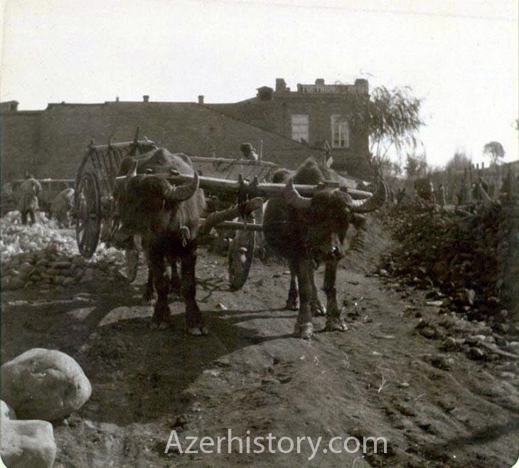 Как выглядела Гянджа в 1900 году?