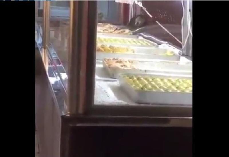 В Баку из-за крыс закрыли кондитерскую