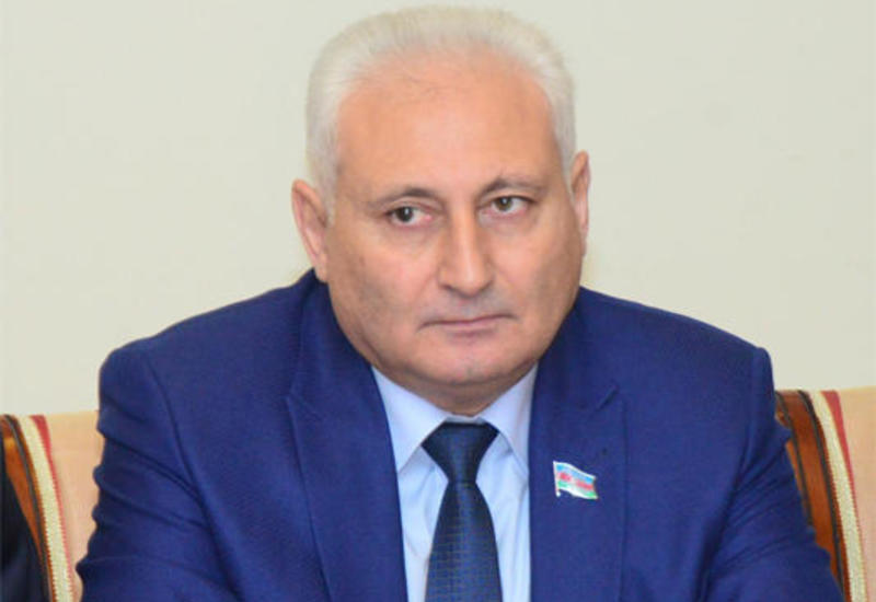 Хикмет Бабаоглу: Радикальная оппозиция наносит удар по национальным интересам страны