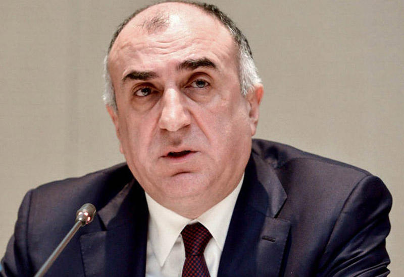 Elmar Məmmədyarov Cenevrəyə yola düşüb