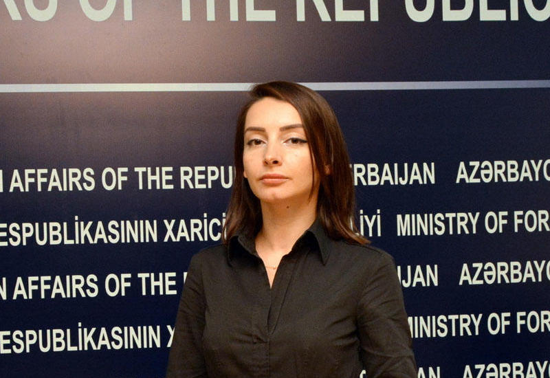 "Azərbaycan dəhliz mənasında NATO-ya hər hansı ərazisini vermir"