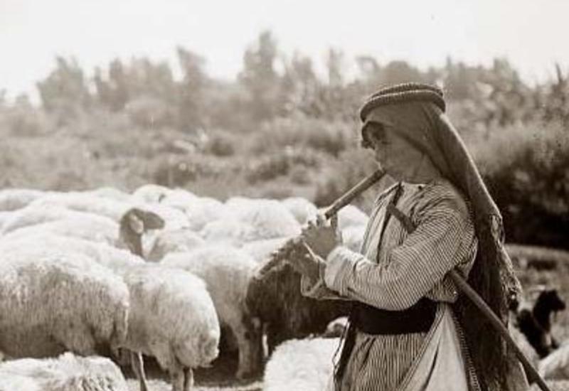 Почему при рождении сына мусульманин закалывает двух баранов?