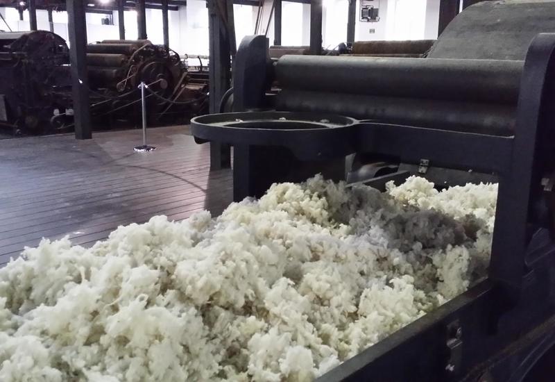 Азербайджан обеспечит Индию шерстью