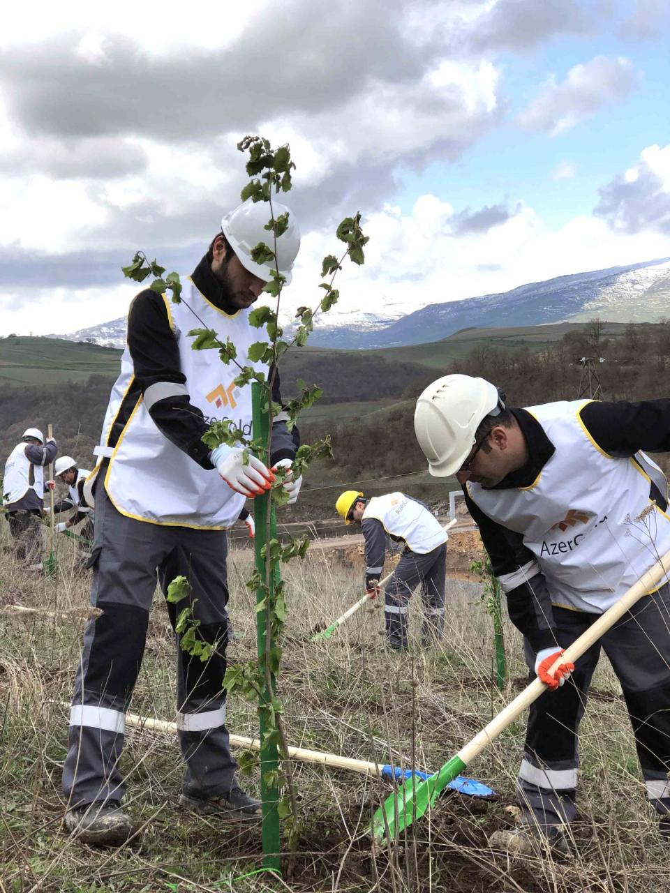 ЗАО “AzerGold” провело очередную акцию озеленения