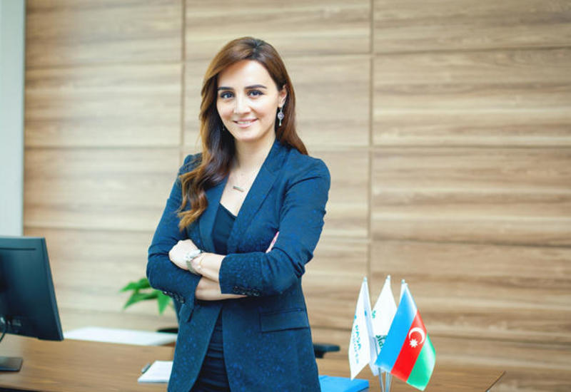 Новое назначение в руководстве PASHA Insurance