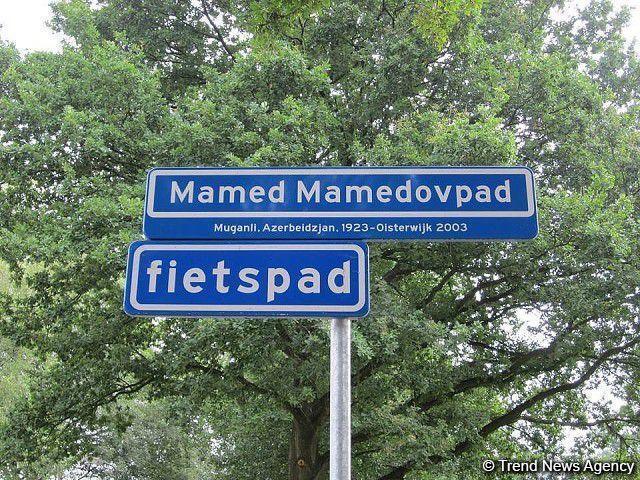 Как азербайджанец стал национальным героем Нидерландов