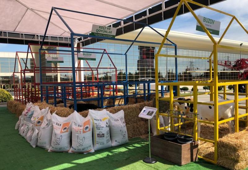 "Gilan Holding" представлен более широким ассортиментом продукции в Баку Экспо Центре