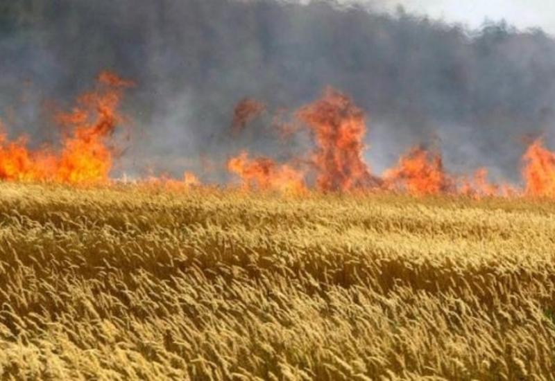 На посевной площади в Шабранском районе начался пожар