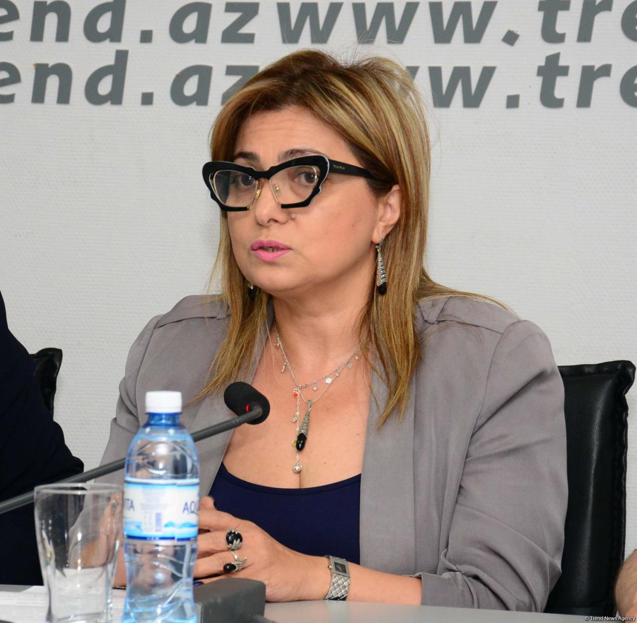 В Баку обсудили модель мультикультурализма на примере защиты прав и сохранения традиций нацменьшинств в Азербайджане