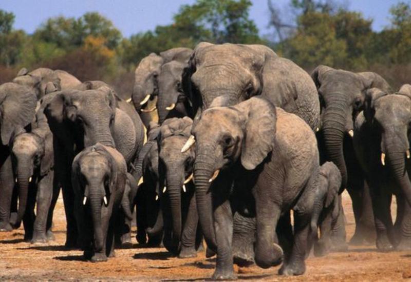 На юго-западе Китая эвакуировали более 150 тыс. человек