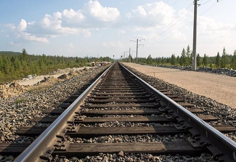 Участие Азербайджана в проекте «Север-Юг» повышает политический статус государства в мире