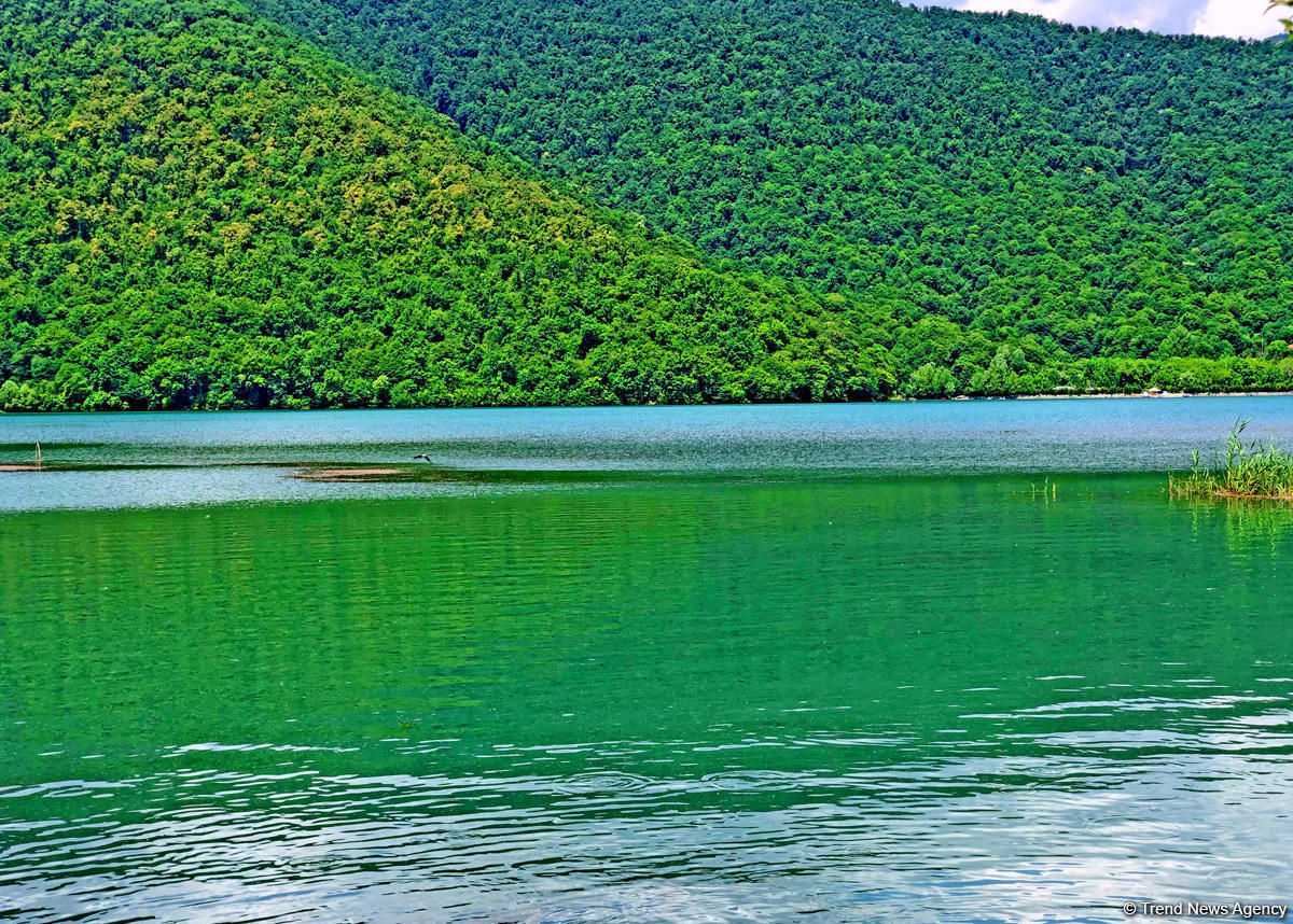 Одно из красивейших озер Азербайджана – Нохур в предгорье Большого Кавказа