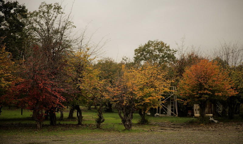 Край лесов и водопадов - великолепный Масаллы