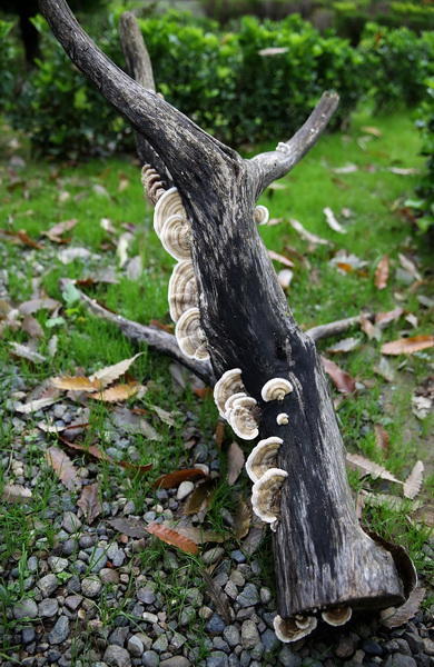 Край лесов и водопадов - великолепный Масаллы