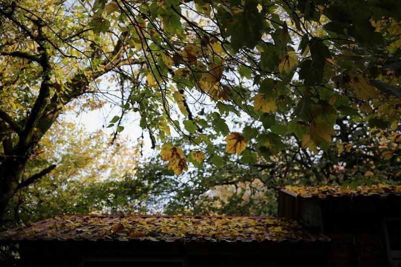 Край лесов и водопадов - великолепный Масаллы