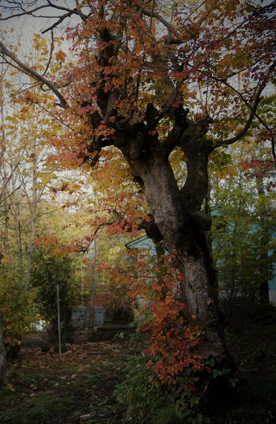 Край лесов и водопадов - великолепный Масаллы