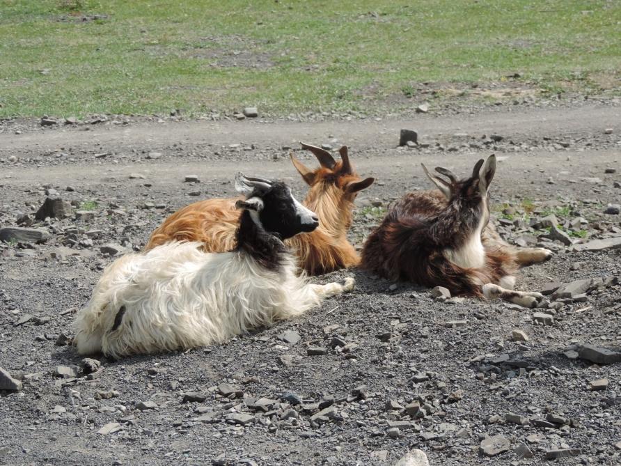 Хыналыг: невероятные пейзажи в объятиях Кавказских гор