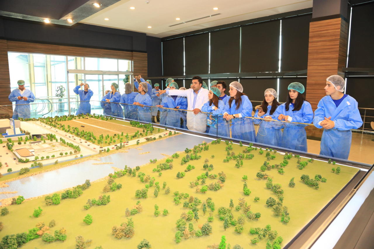 Общественное объединение "Региональное развитие" приступило к осуществлению новой программы деятельности