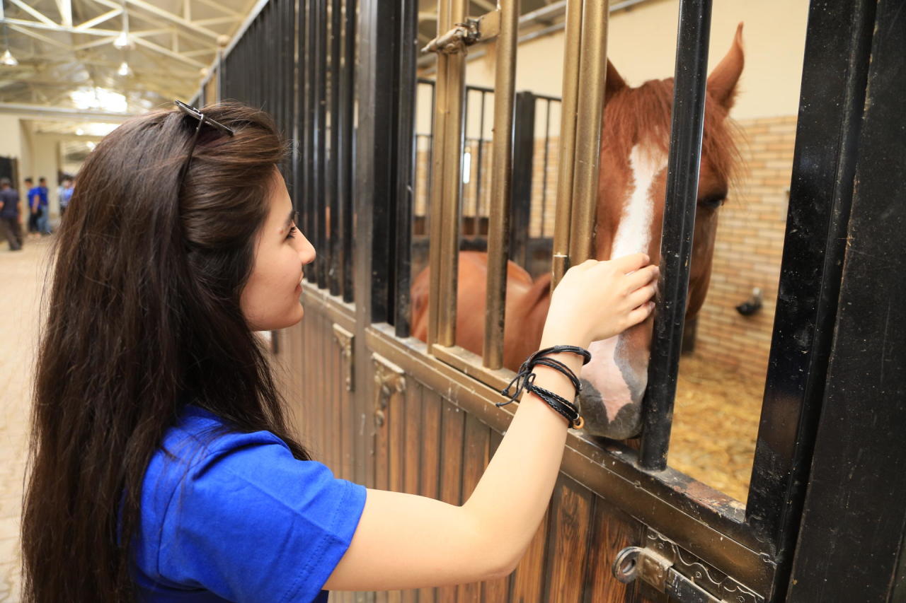 Общественное объединение "Региональное развитие" приступило к осуществлению новой программы деятельности