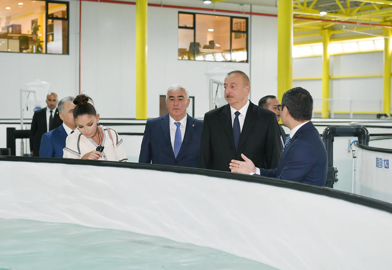 Президент Ильхам Алиев и Первая леди Мехрибан Алиева ознакомились с производственным процессом на рыборазводном заводе «НереМИЗ», созданном в Пираллахинском районе