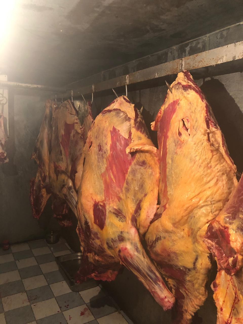 В Баку предотвращена реализация 851 кг непригодного к употреблению мяса
