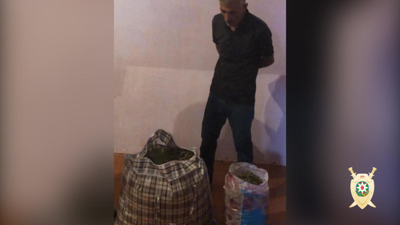 Azərbaycanda 1 tona yaxın narkotik aşkar edildi - Xüsusi əməliyyat
