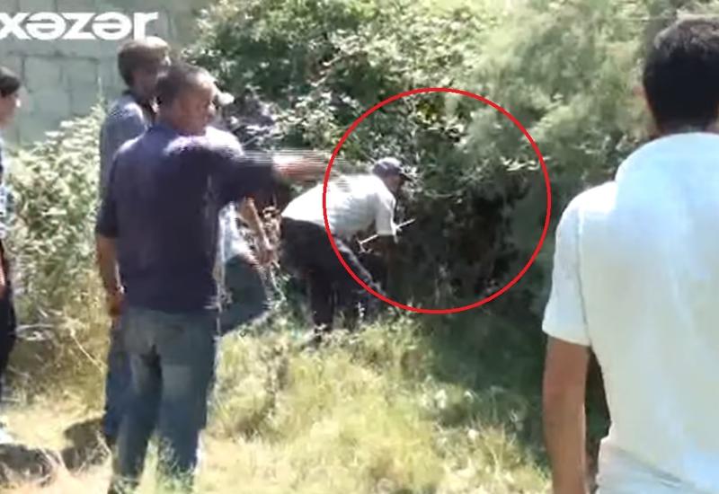 Azərbaycanın bu kəndində əcaib varlıqlar sakinləri təşvişə salıb