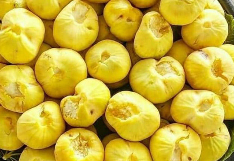 Dərdlərə dərman Abşeron əncirinin 12 faydası
