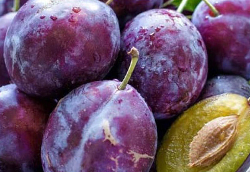 Gavalının üzərindəki ağ ləkənin səbəbi bəlli oldu