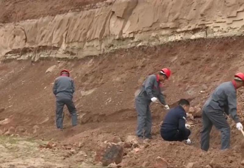 В гробнице в Китае обнаружили старейший образец сырья для традиционной медицины