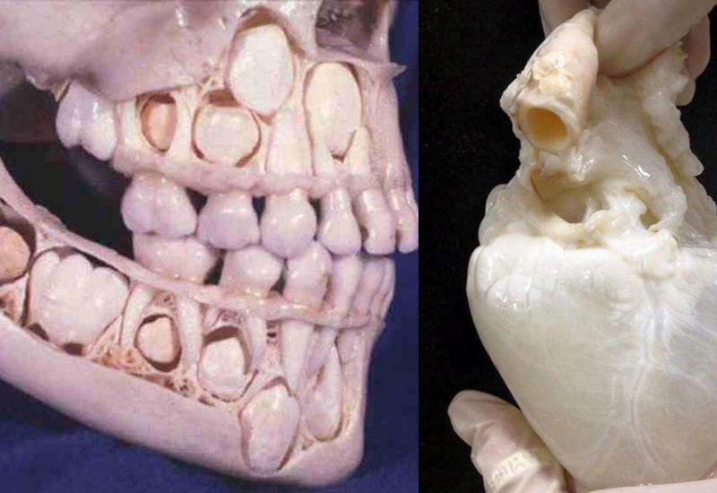 15 вещей, о которых многие люди слышали, но никогда не видели
