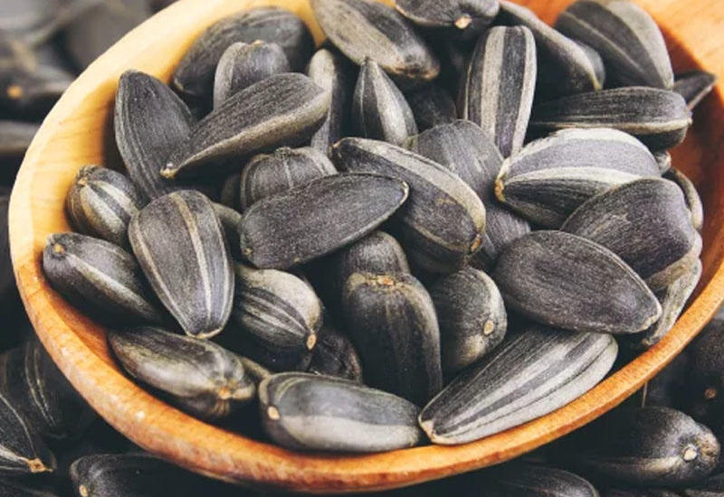 Günəbaxan tumu appendisitin əmələ gəlməsinə səbəb ola bilər?