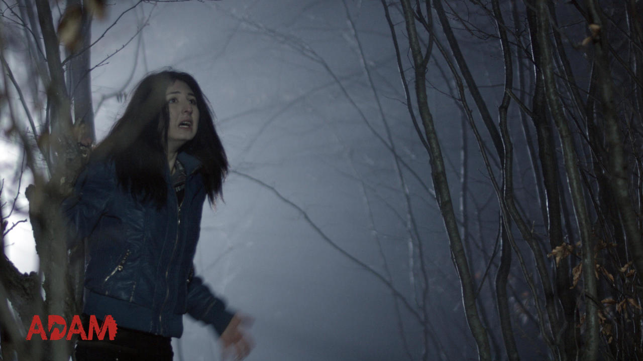 В Баку пройдет премьера фильма "Adam"