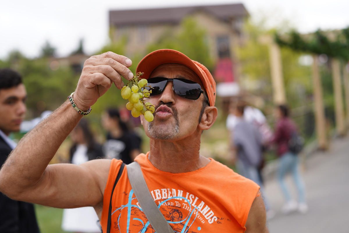 Яркие моменты первого Азербайджанского фестиваля винограда и вина